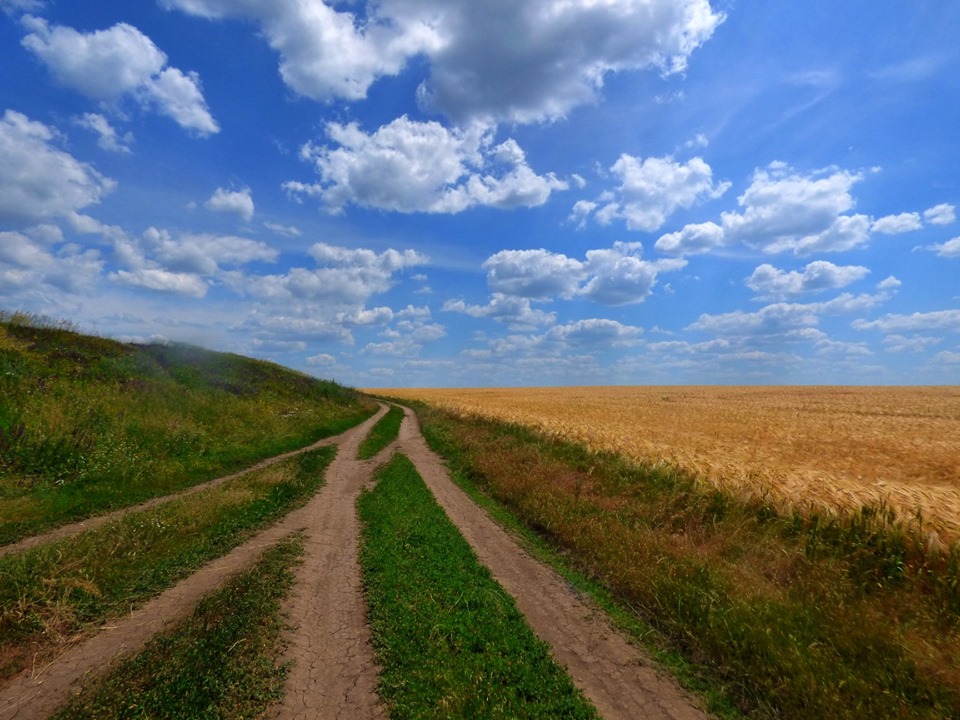 Піший похід Більським городищем